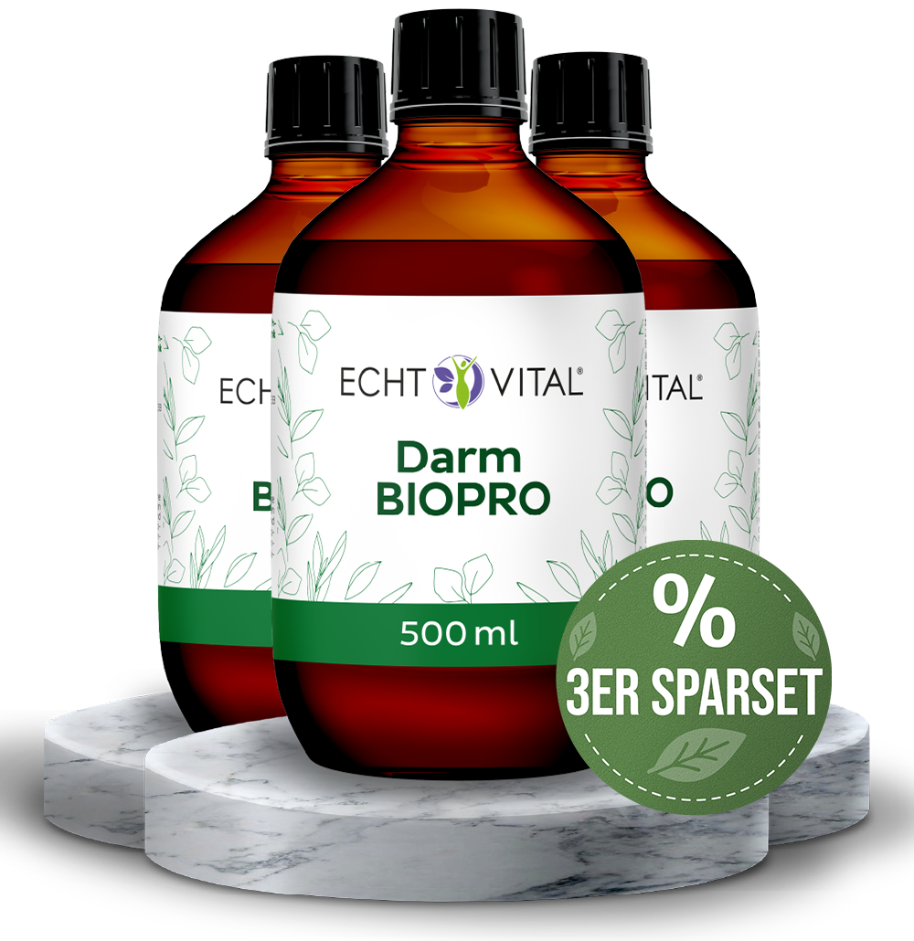 Darm Biopro Fermentgetränk - ECHT VITAL Premium Qualität